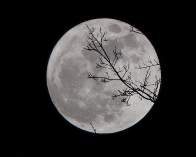Eclissi lunare, la Super Luna Rossa dà spettacolo nei cieli di mezzo mondo
